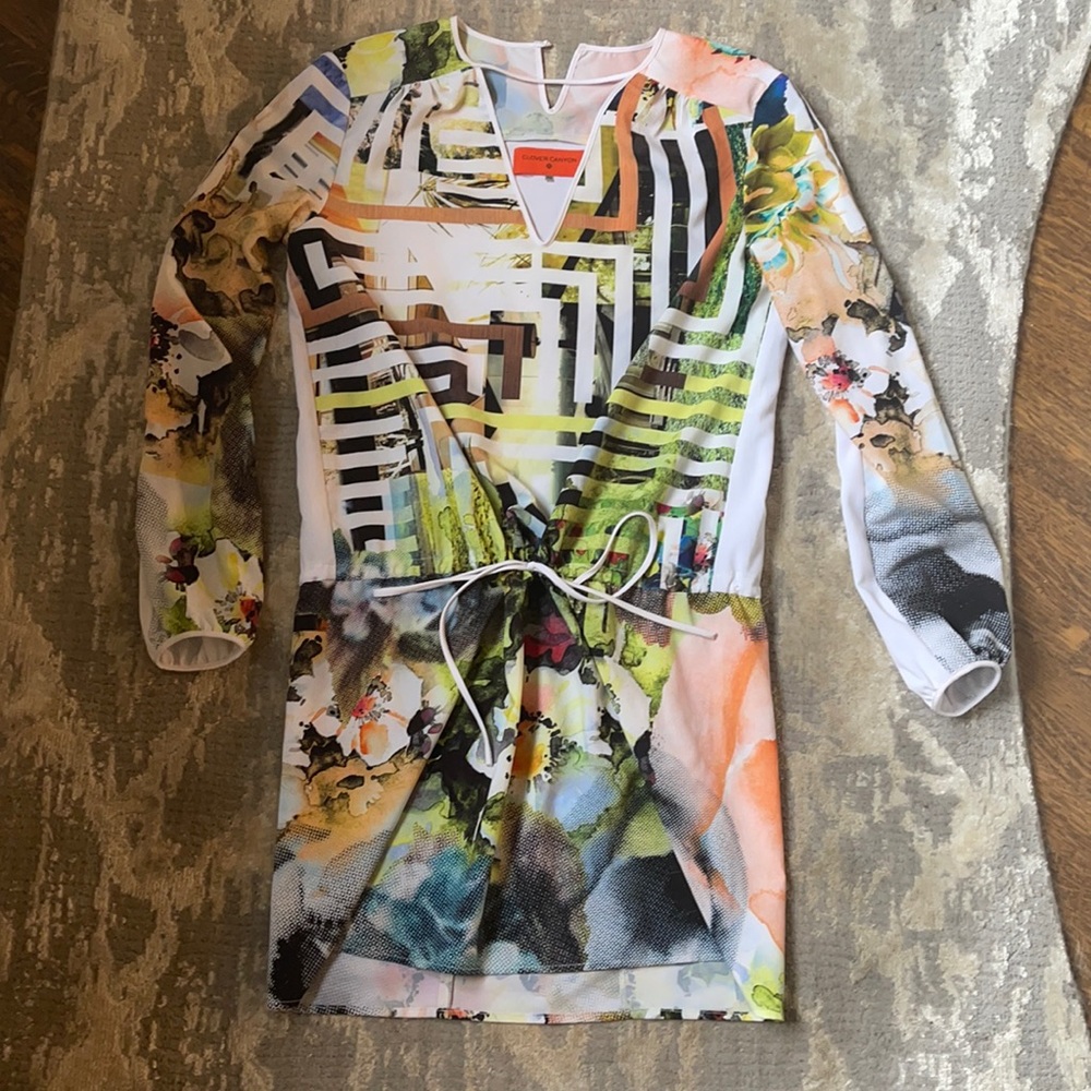 Clover Canyon dress